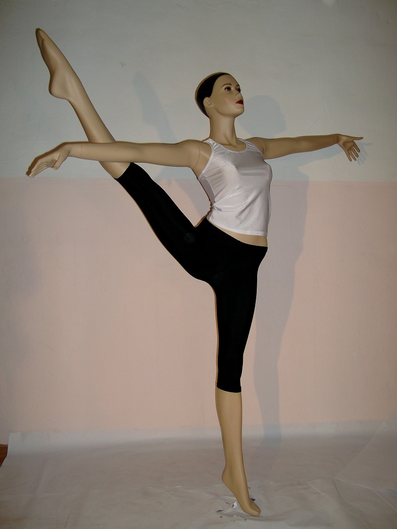 Бриджи спортивные Нола 61 хлопок