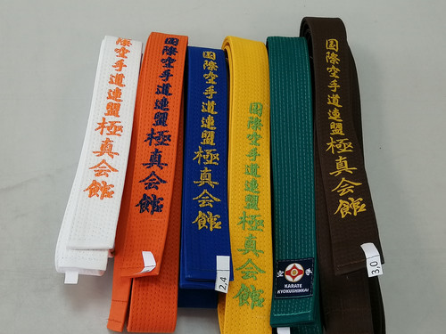 Пояс для единоборств Спорт-96 с вышивкой