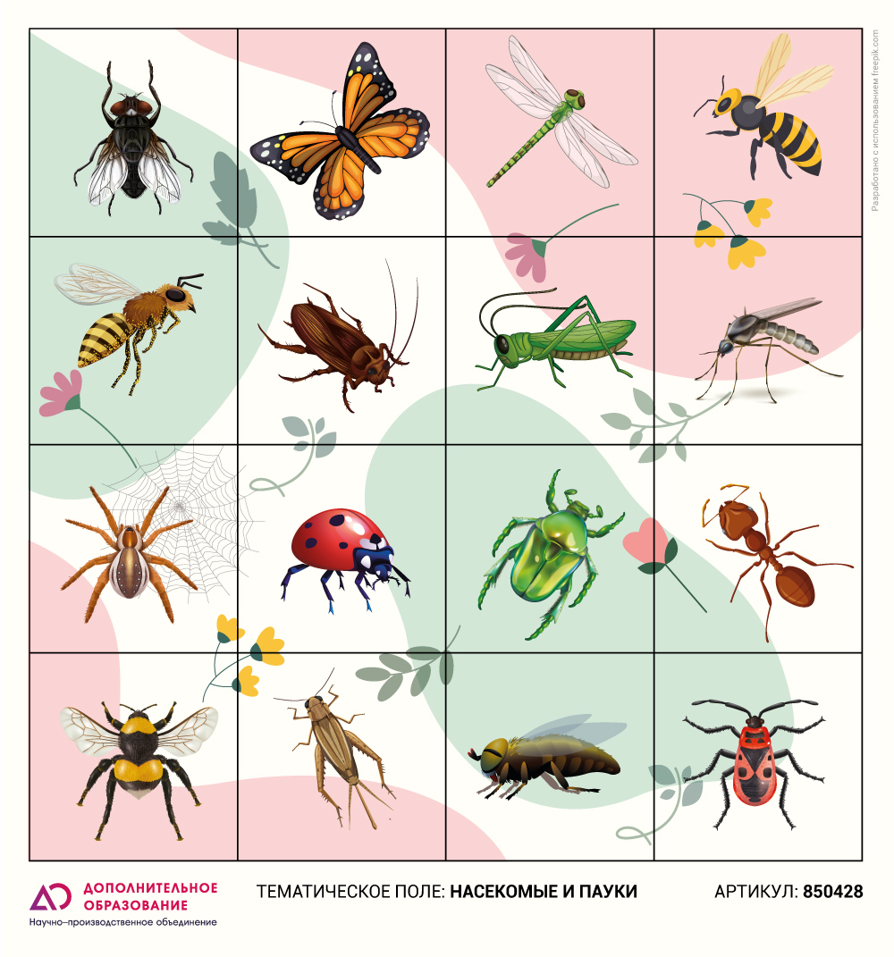 Логобот "Пчелка"/ Коврик "Насекомые и пауки" Логобот "Пчелка"/ Коврик "Насекомые и пауки"